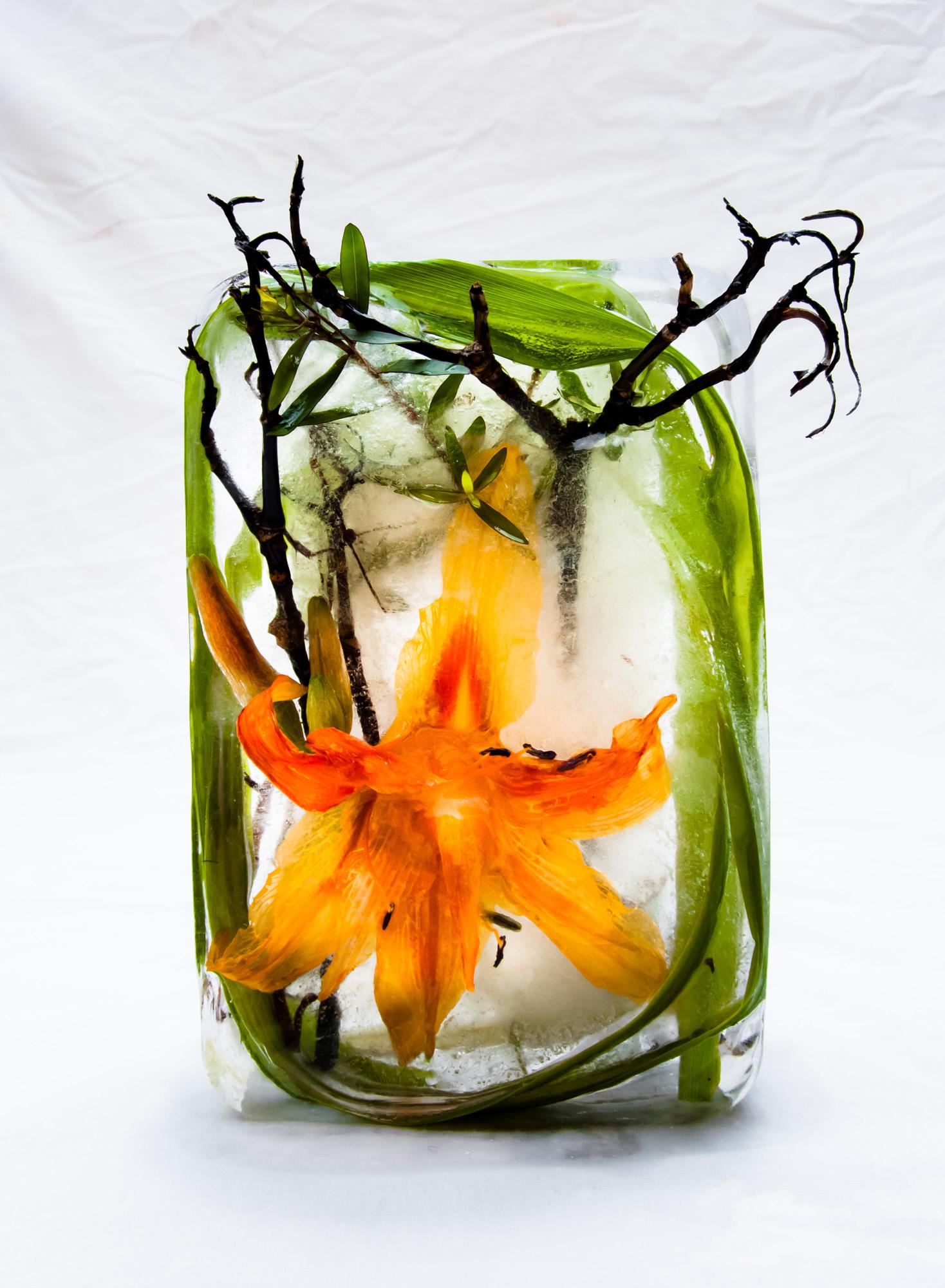Marisa Culatto Color Photograph – Flora 26, 2015 - Giclée-Druck in limitierter Auflage