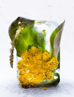 Flora 27, 2015 – Giclee-Druck in limitierter Auflage