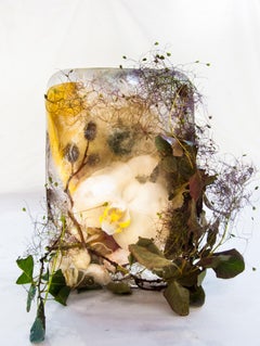 Flora 28, 2015 - Limited Edition Giclée Print