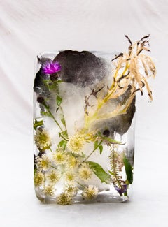 Flora 31, 2015 - Impression giclée en édition limitée