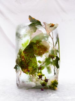 Flora 32, 2015 - Impression giclée en édition limitée