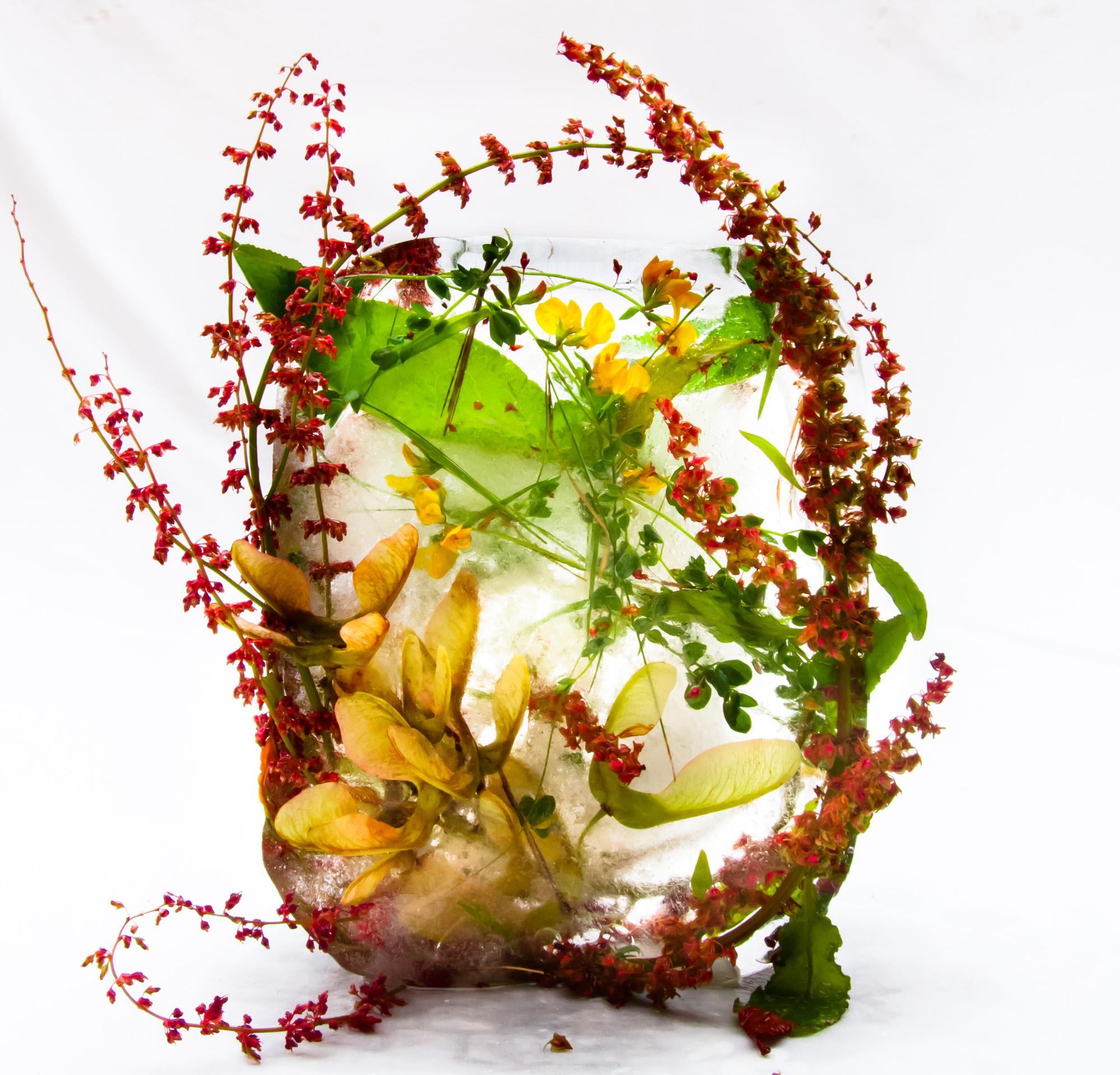 Flora 33, 2015 - Giclée-Druck in limitierter Auflage