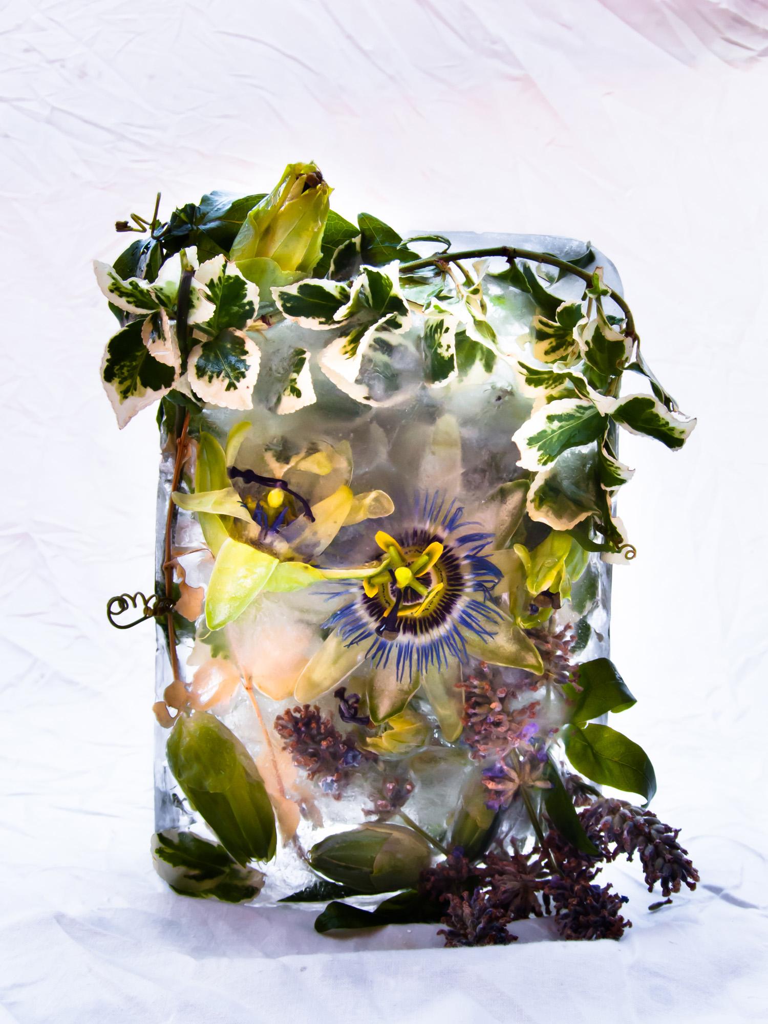 Flora 34, 2015 - Stampa giclée in edizione limitata