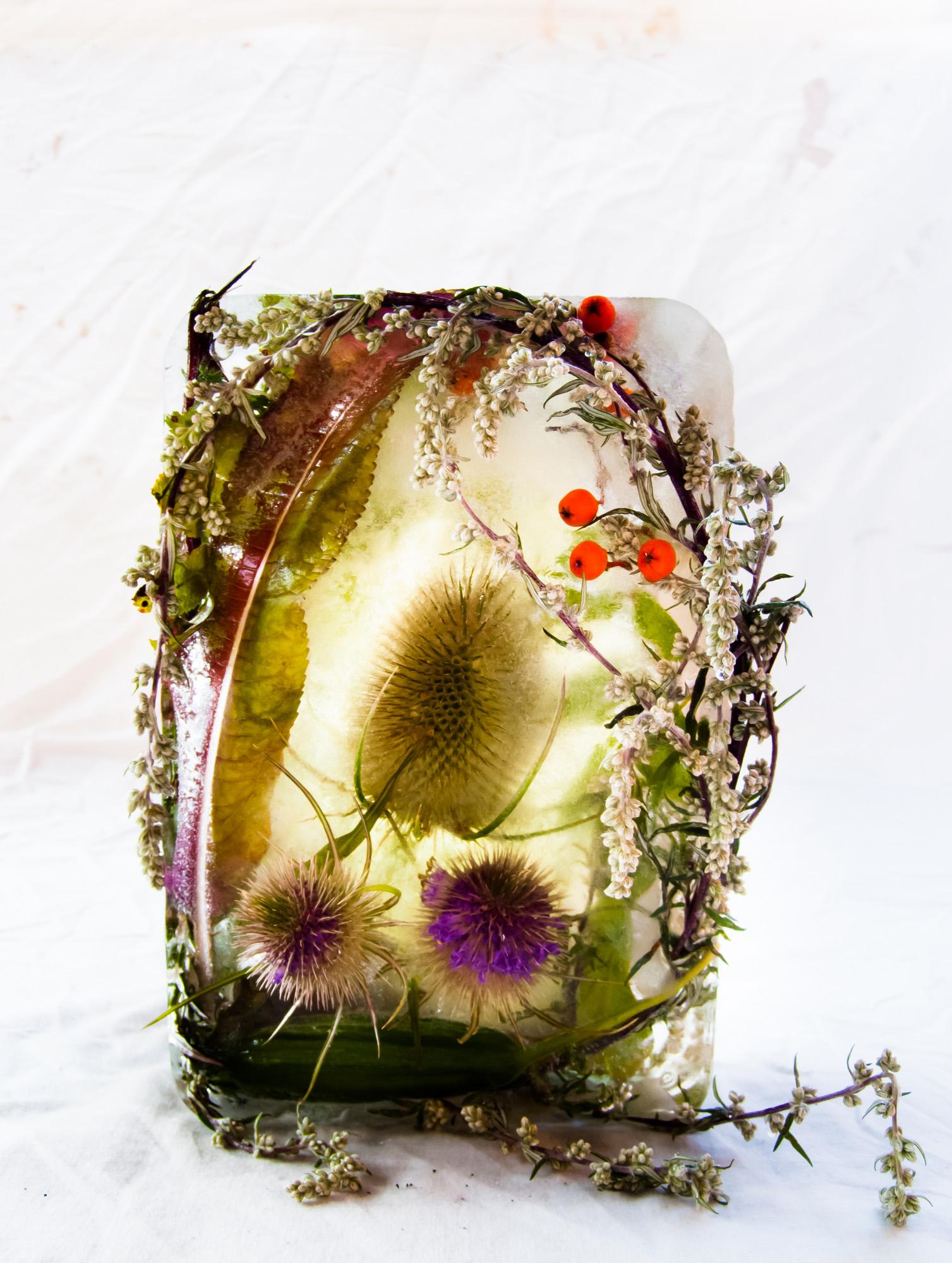 Flora 35, 2015 - Giclée-Druck in limitierter Auflage