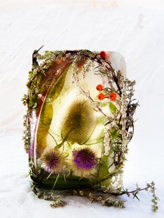 Flora 35, 2015 - Giclée-Druck in limitierter Auflage