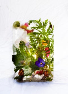 Flora 5, 2015 - Giclée-Druck in limitierter Auflage