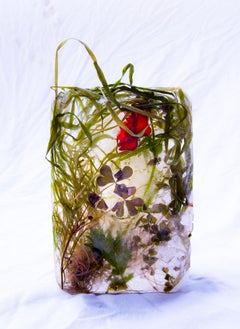 Flora 6, 2015 - Stampa giclée in edizione limitata
