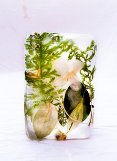 Flora 7, 2015 - Giclée-Druck in limitierter Auflage