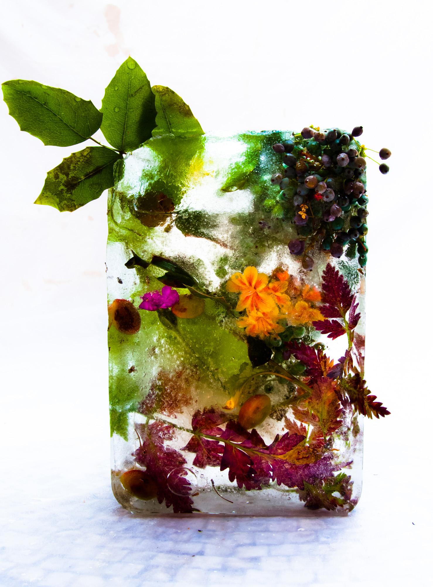 Color Photograph Marisa Culatto - Flora 8 2015 - Impression giclée en édition limitée