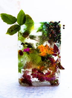 Flora 8 2015 - Limited Edition Giclée Print
