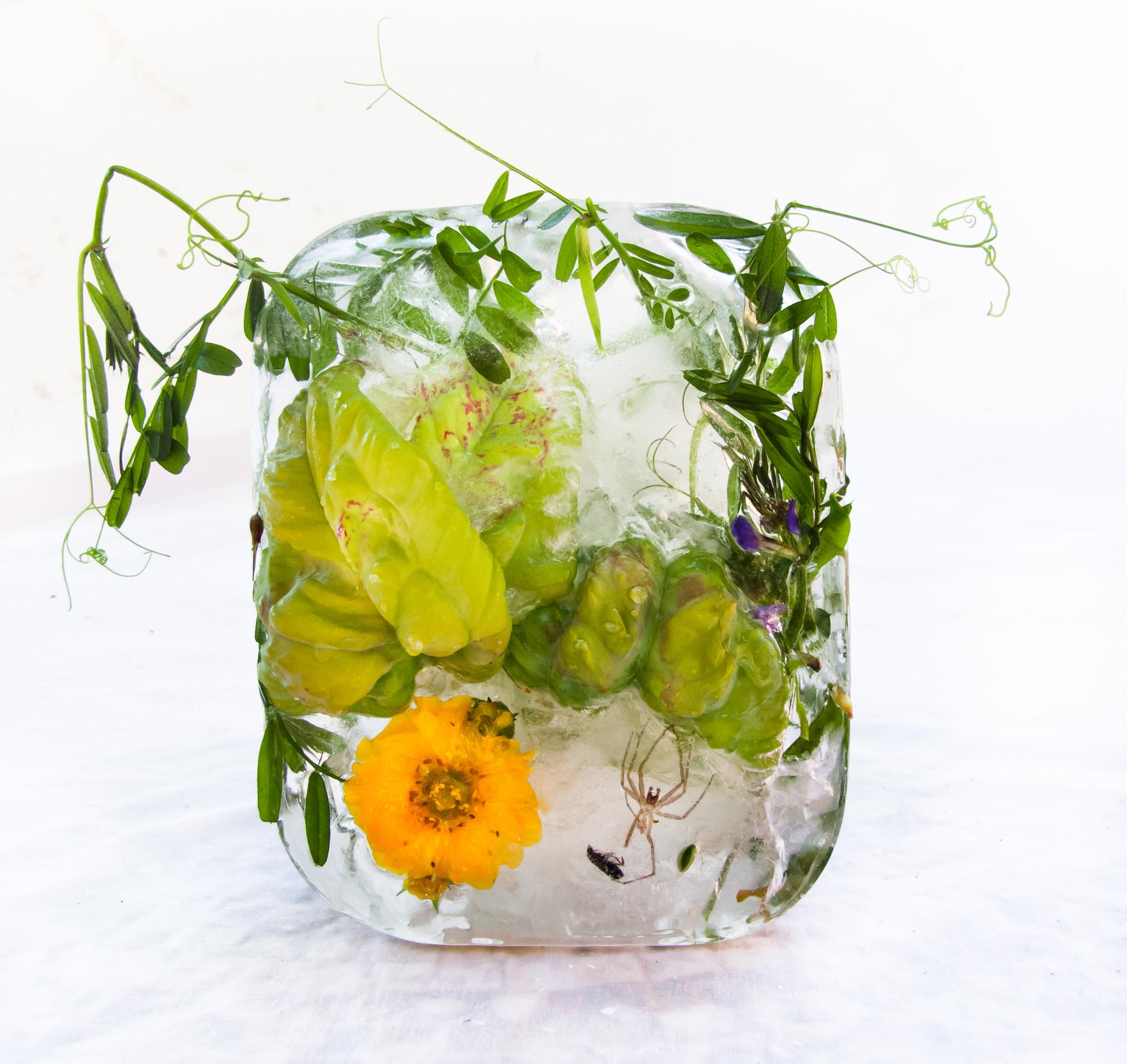 Marisa Culatto Color Photograph – Flora 9, 2015 - Giclée-Druck in limitierter Auflage