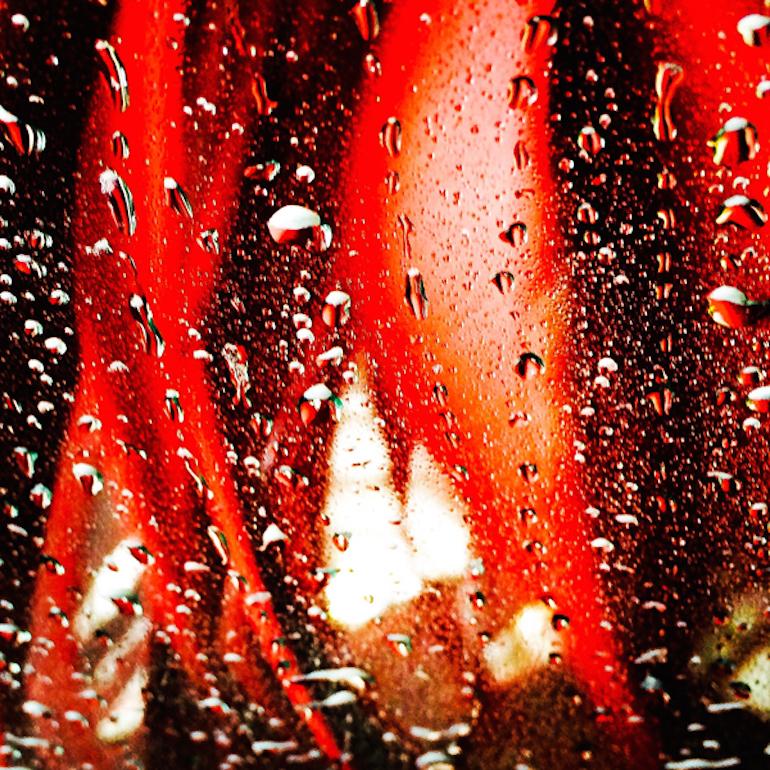 marischa slusarski  Abstract Photograph - Untested Torture Benevolent Red