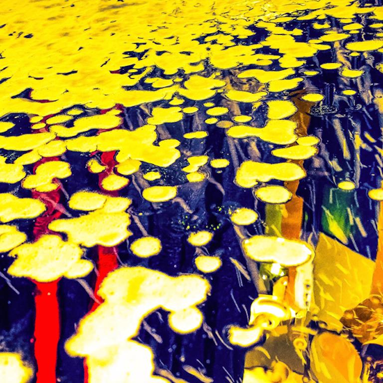 Marischa Slusarski Abstract Photograph - Space-Invaders Celestial Lilypad