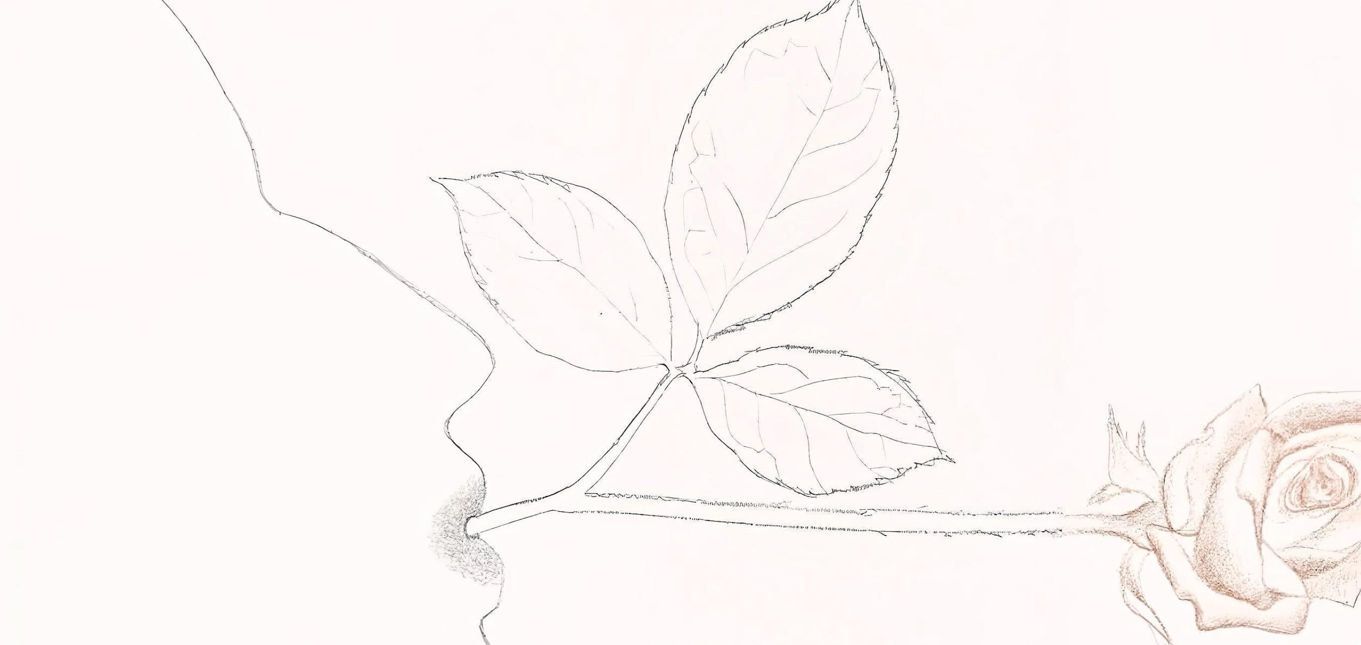 Escobar, Composición, En memoria de mis sentimientos (después) - Print de Marisol Escobar