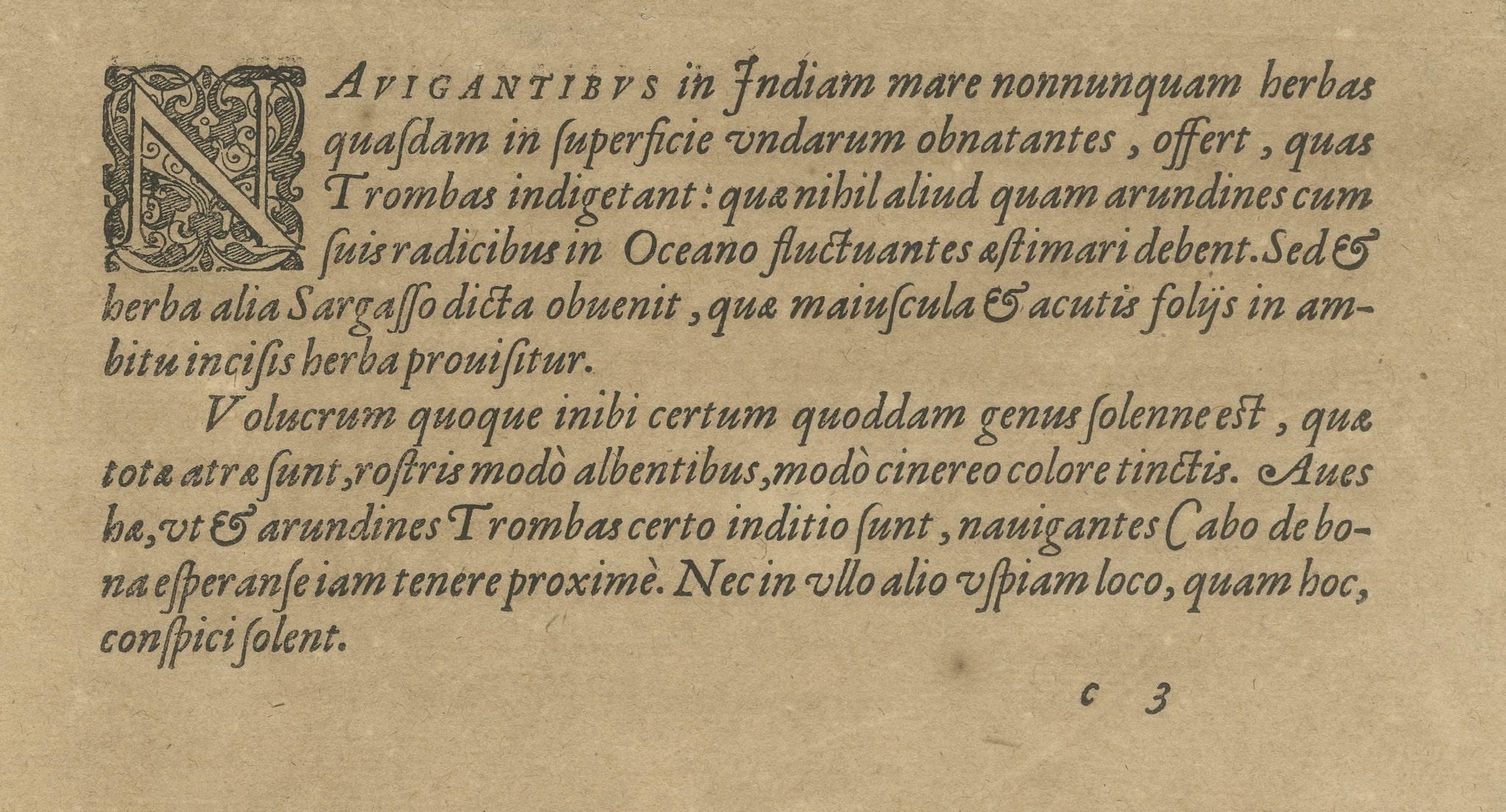 Papier Vie et flore maritimes : Gravures anciennes de De Bry, 1601 en vente