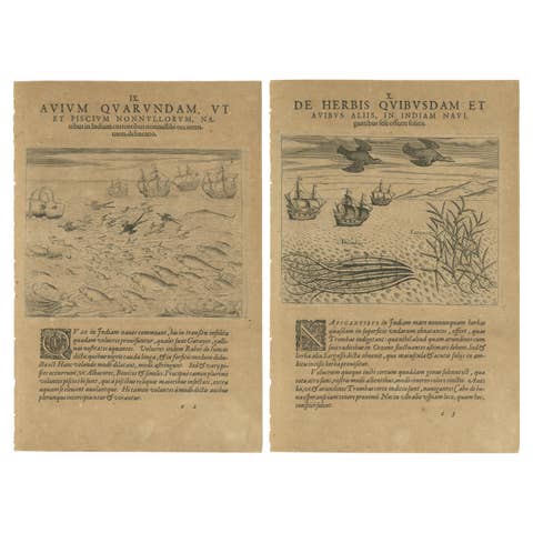 Maritime Life and Flora: Antique Engravings by De Bry, 1601