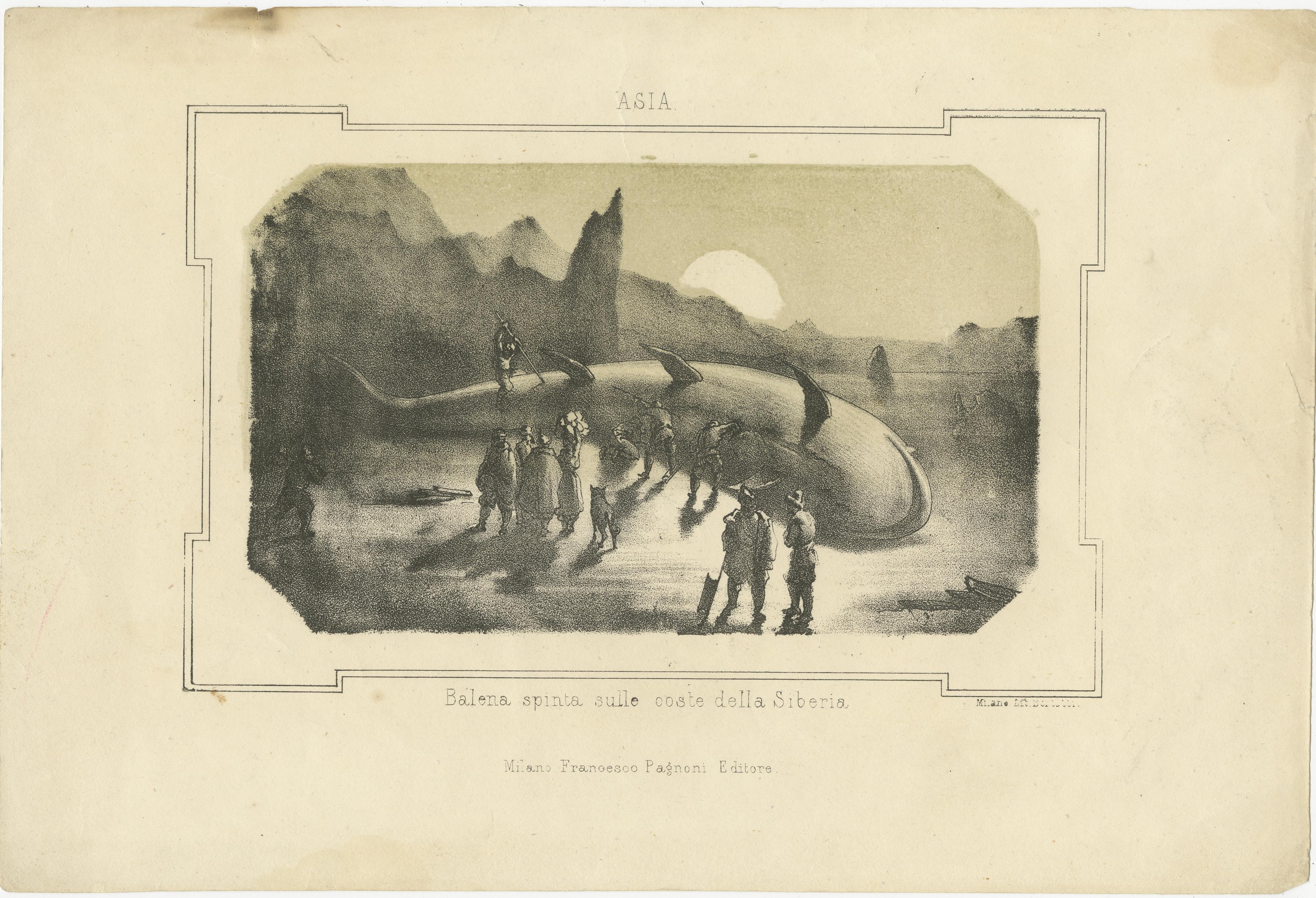 Mid-19th Century Maritime Wonders: Beached Leviathans of the 19th Century in Siberia, circa 1850 For Sale
