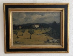 Lluvia en Provenza y olivos