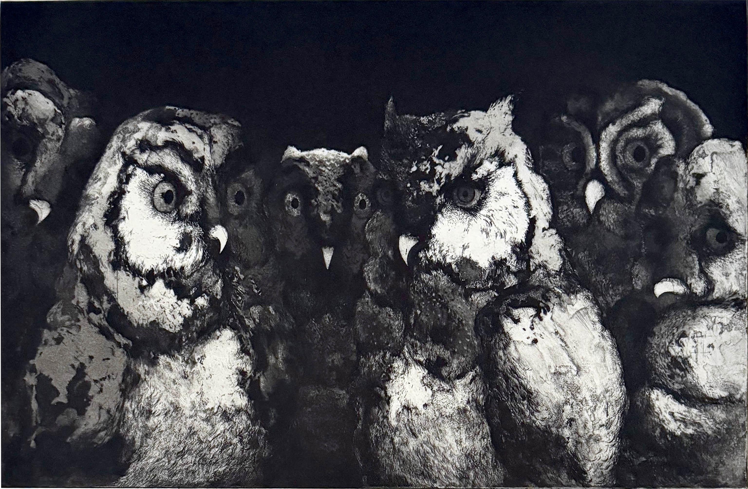 Diálogo Nocturno es la imagen malhumorada de un grupo de búhos  en una reunión nocturna, de la artista franco-iraní Marjan Seyedin.   En sus obras, la presencia animal es esencial y proporciona una representación alegórica de la humanidad. Esto es