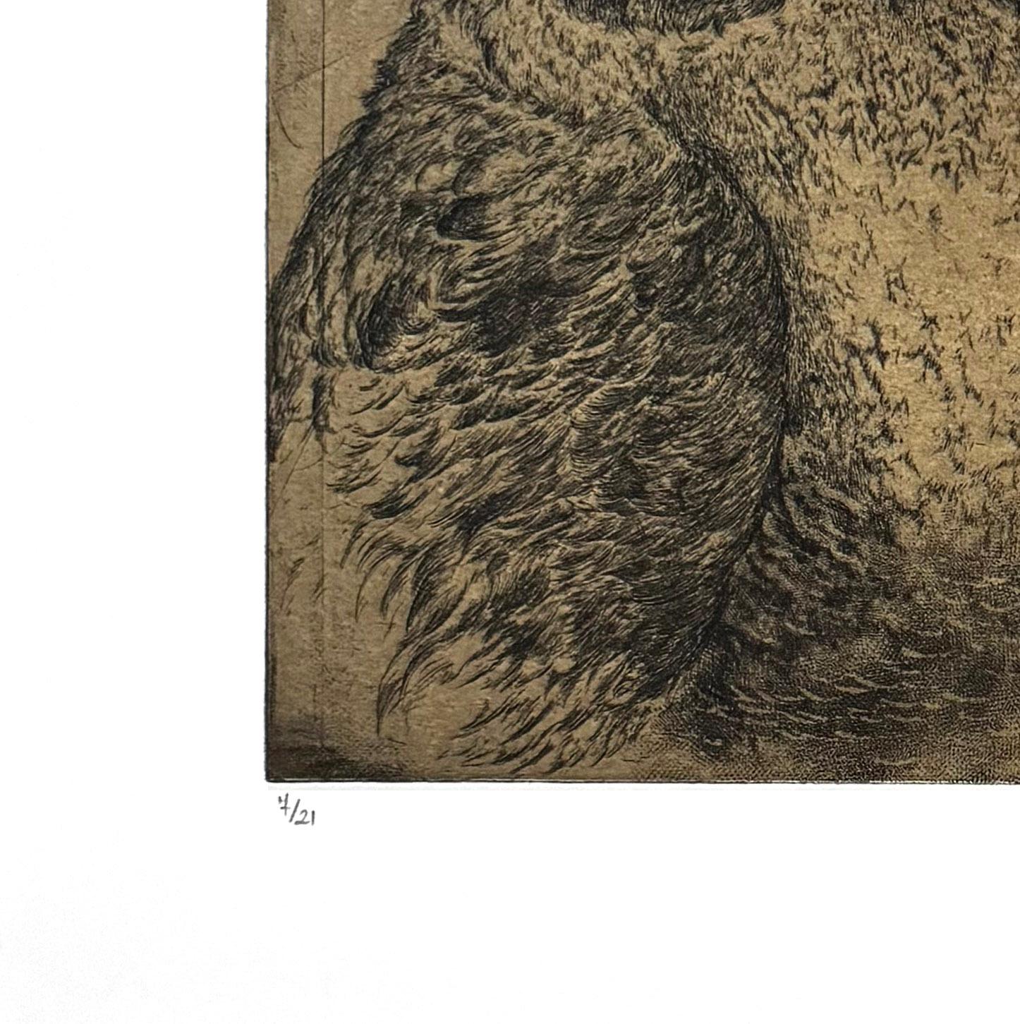 Discours D'oiseaux nº 1, grabado humorístico de búhos en discusión por Marjan Seyedin en venta 2