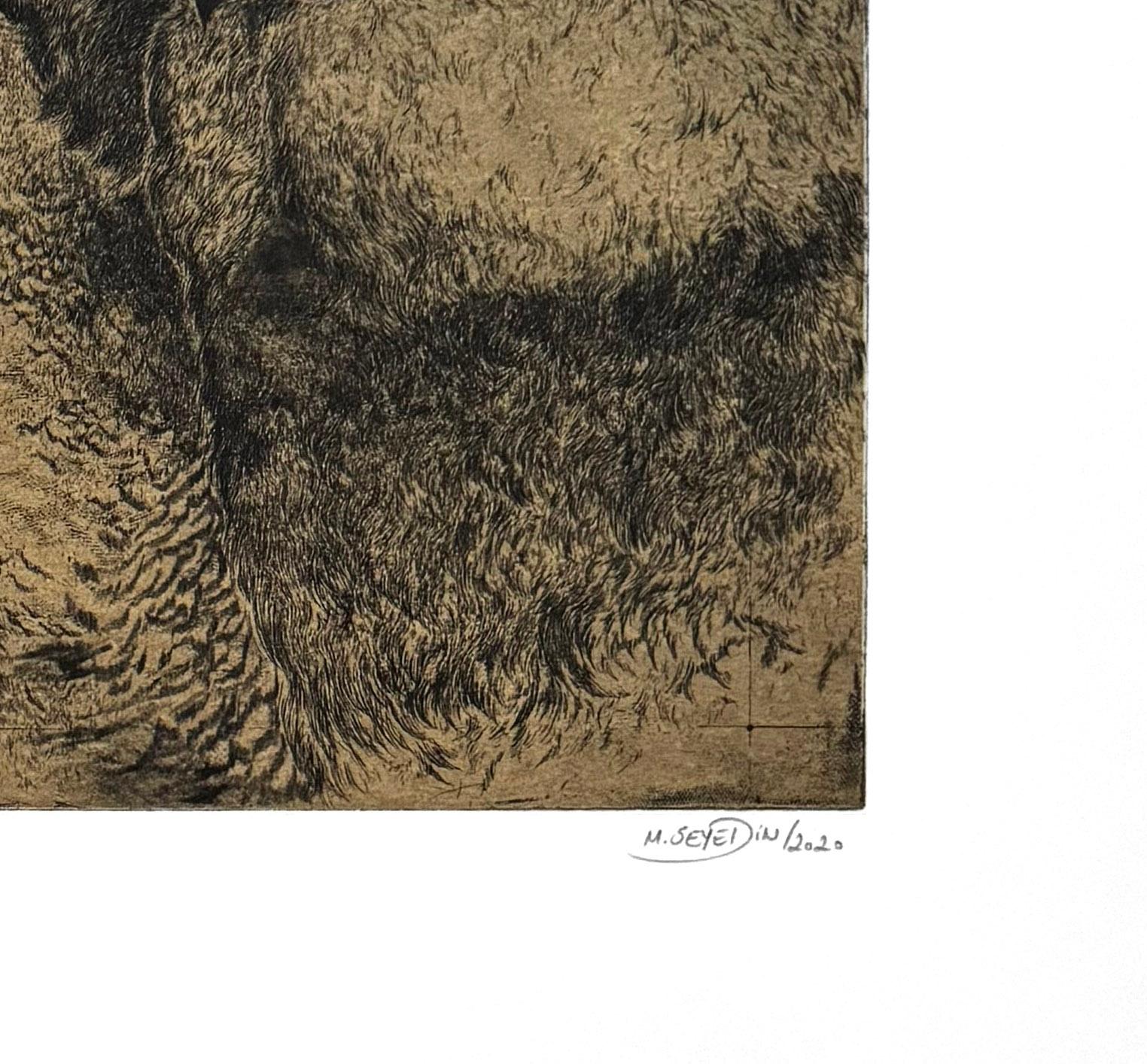 Discours D'oiseaux nº 1, grabado humorístico de búhos en discusión por Marjan Seyedin en venta 3