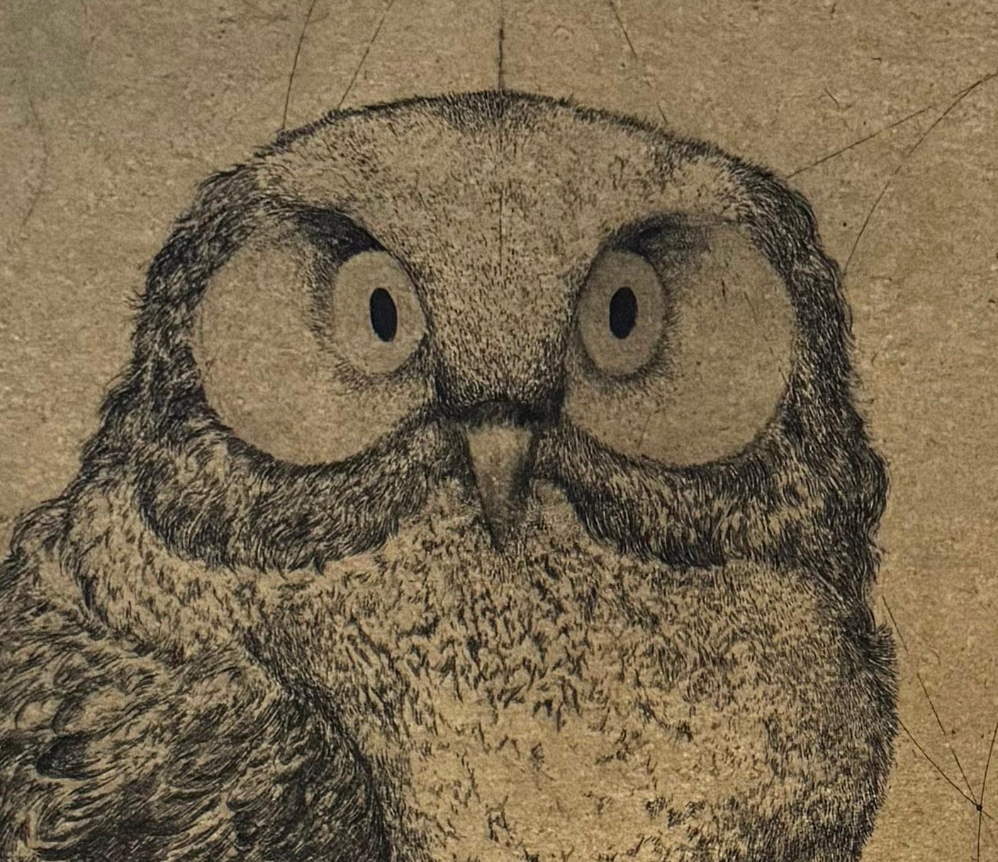 Discours D'oiseaux nº 1, grabado humorístico de búhos en discusión por Marjan Seyedin en venta 4