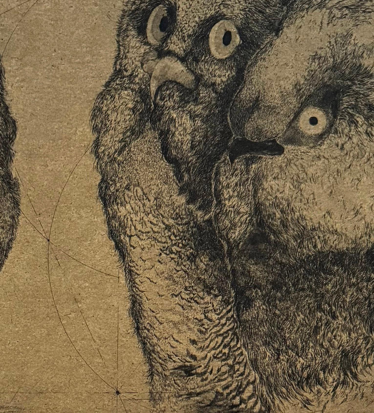 Discours D'oiseaux nº 1, grabado humorístico de búhos en discusión por Marjan Seyedin en venta 5