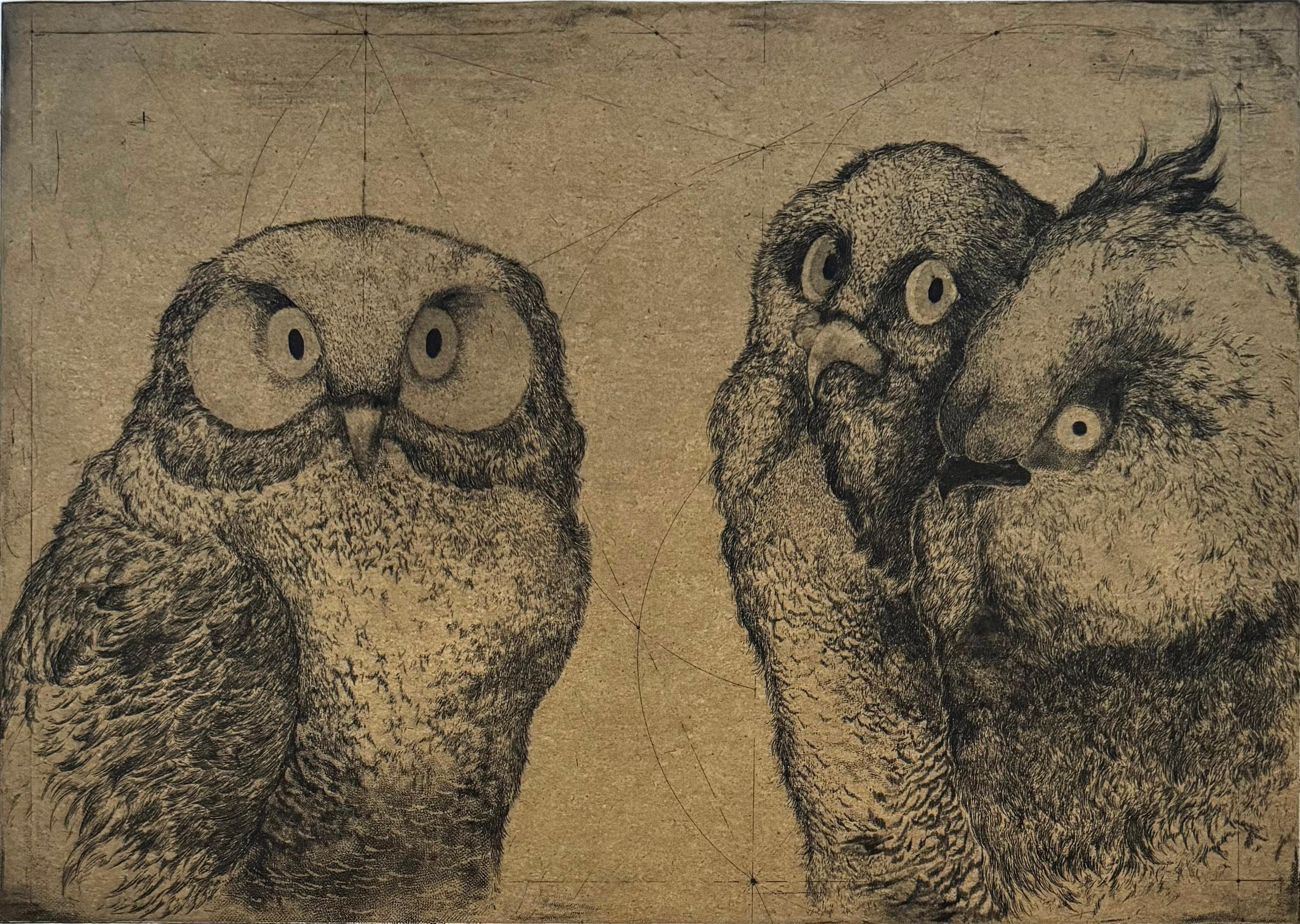 Uno de los 9 retratos humorísticos de pájaros enzarzados en una conversación del artista franco-iraní Marjan Seyedin. En sus obras, los pájaros y los animales constituyen una representación alegórica de la humanidad.  Marjan reinterpreta de forma