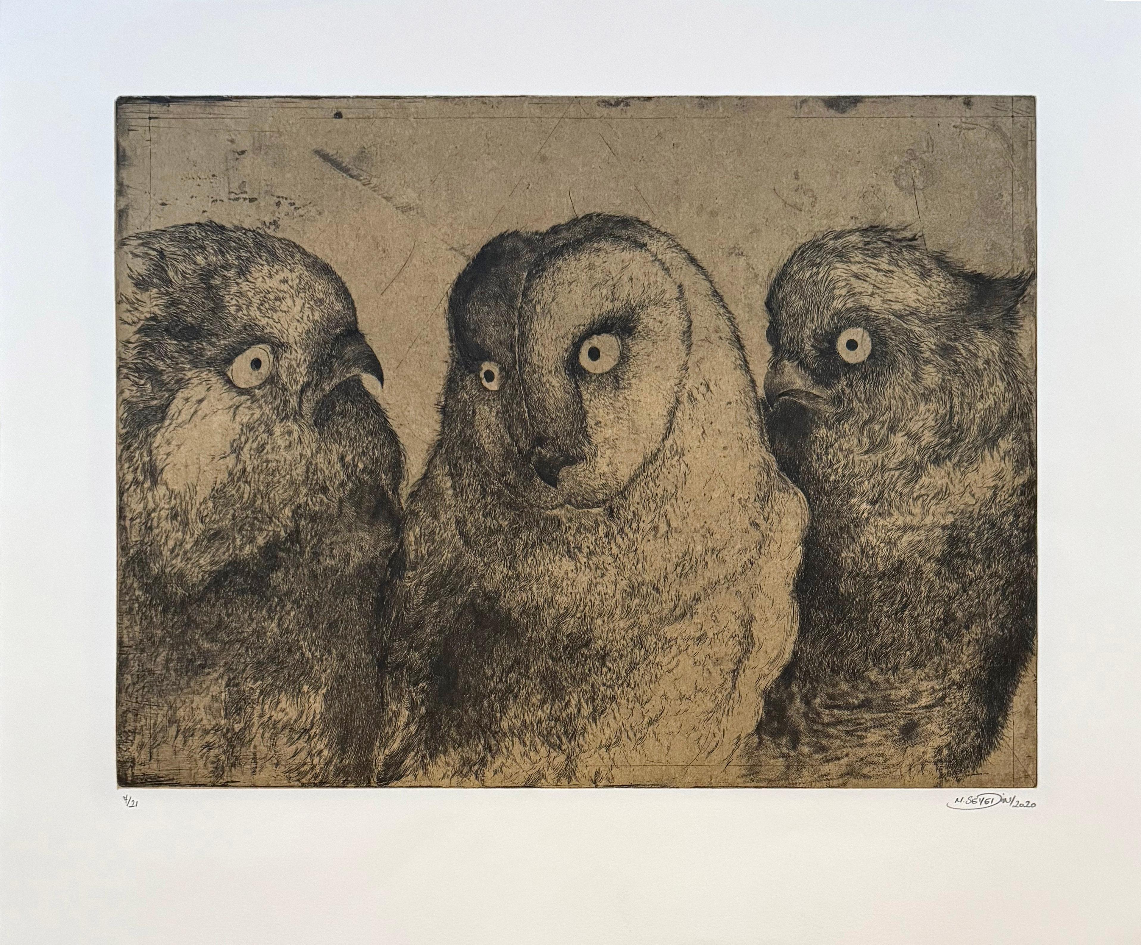 Discours D'oiseaux nº 2, grabado humorístico de búhos en discusión por Marjan Seyedin en venta 1