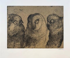 Discours D'oiseaux #2, humorous etching of owls in discussion by Marjan Seyedin