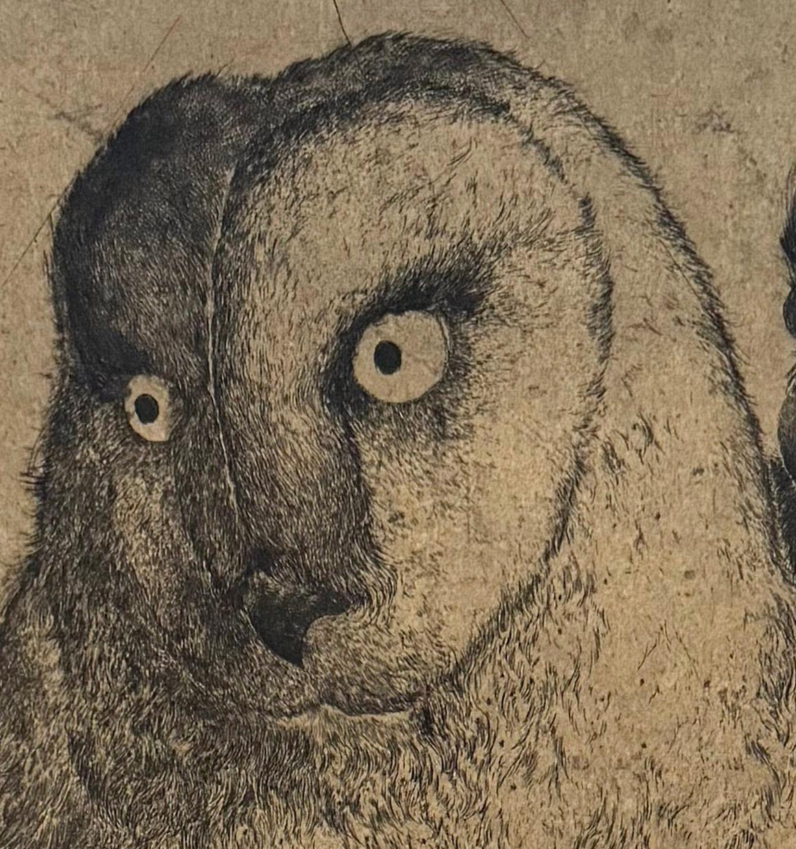 Discours D'oiseaux nº 2, grabado humorístico de búhos en discusión por Marjan Seyedin en venta 4