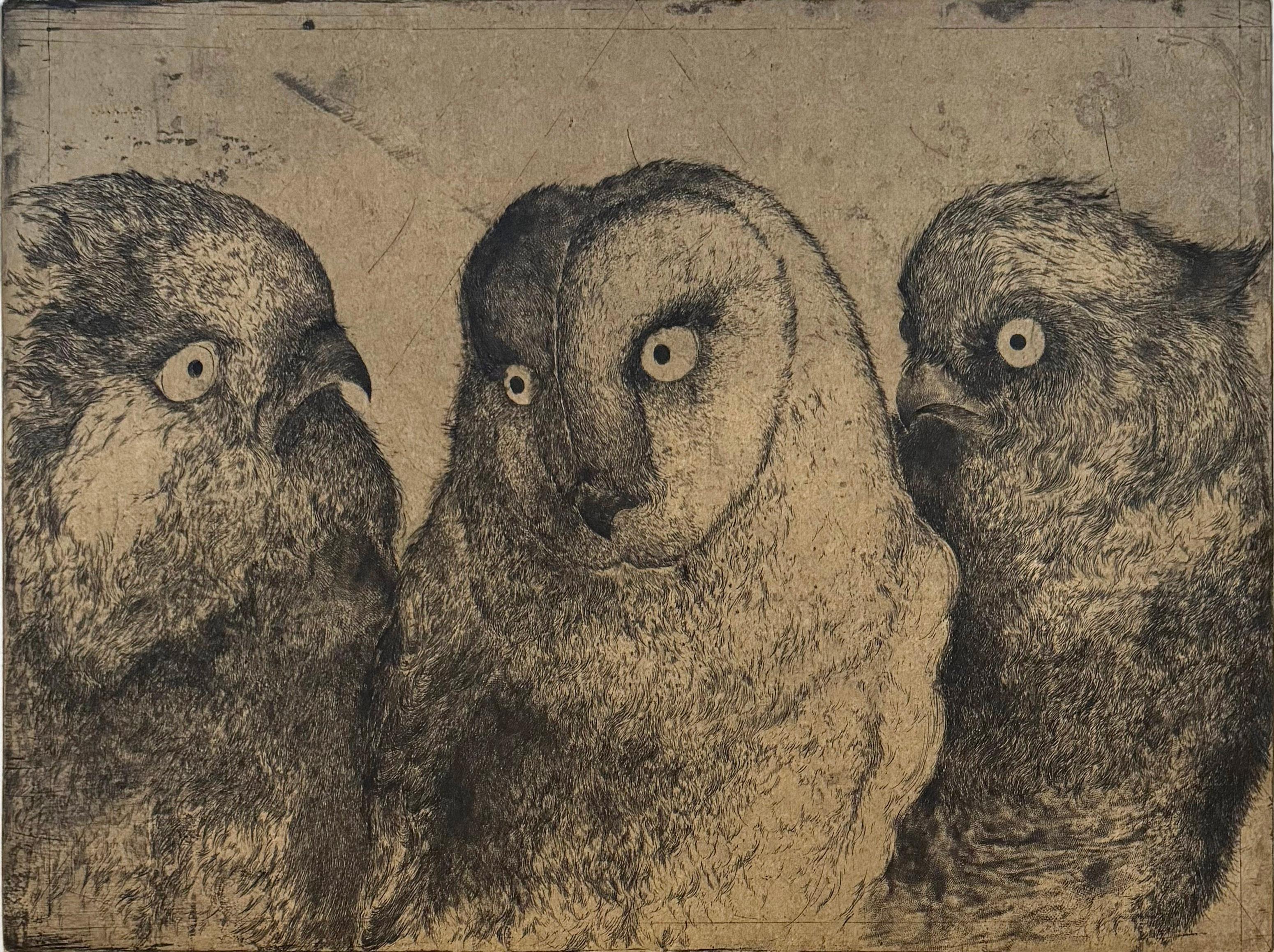 Uno de los 9 retratos humorísticos de pájaros enzarzados en una conversación del artista franco-iraní Marjan Seyedin. En sus obras, los pájaros y los animales constituyen una representación alegórica de la humanidad.  Marjan reinterpreta de forma