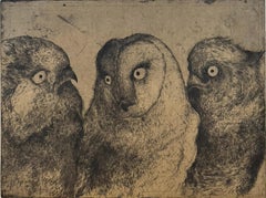 Discours D'oiseaux #2, humorous etching of owls in discussion by Marjan Seyedin