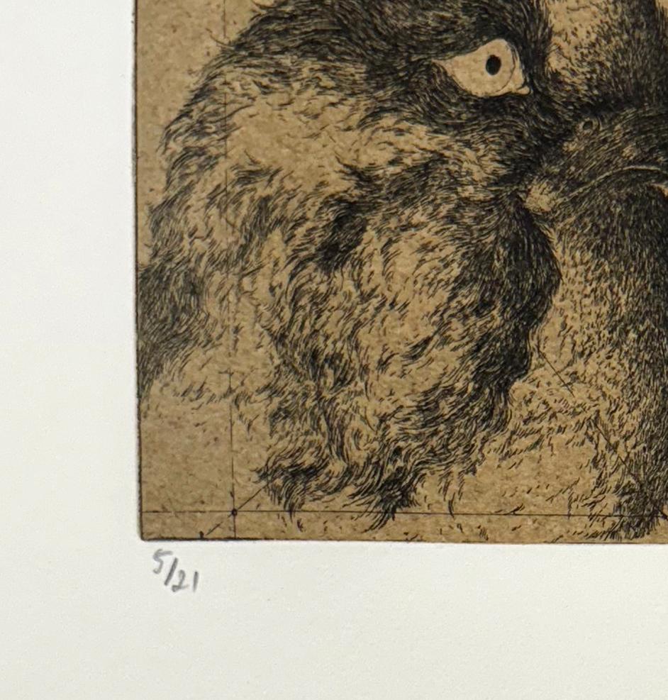 Discours D'oiseaux #3, etching of birds by Marjan Seyedin For Sale 2