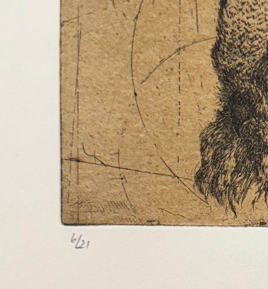 Discours D'oiseaux #4, etching of birds by Marjan Seyedin For Sale 2
