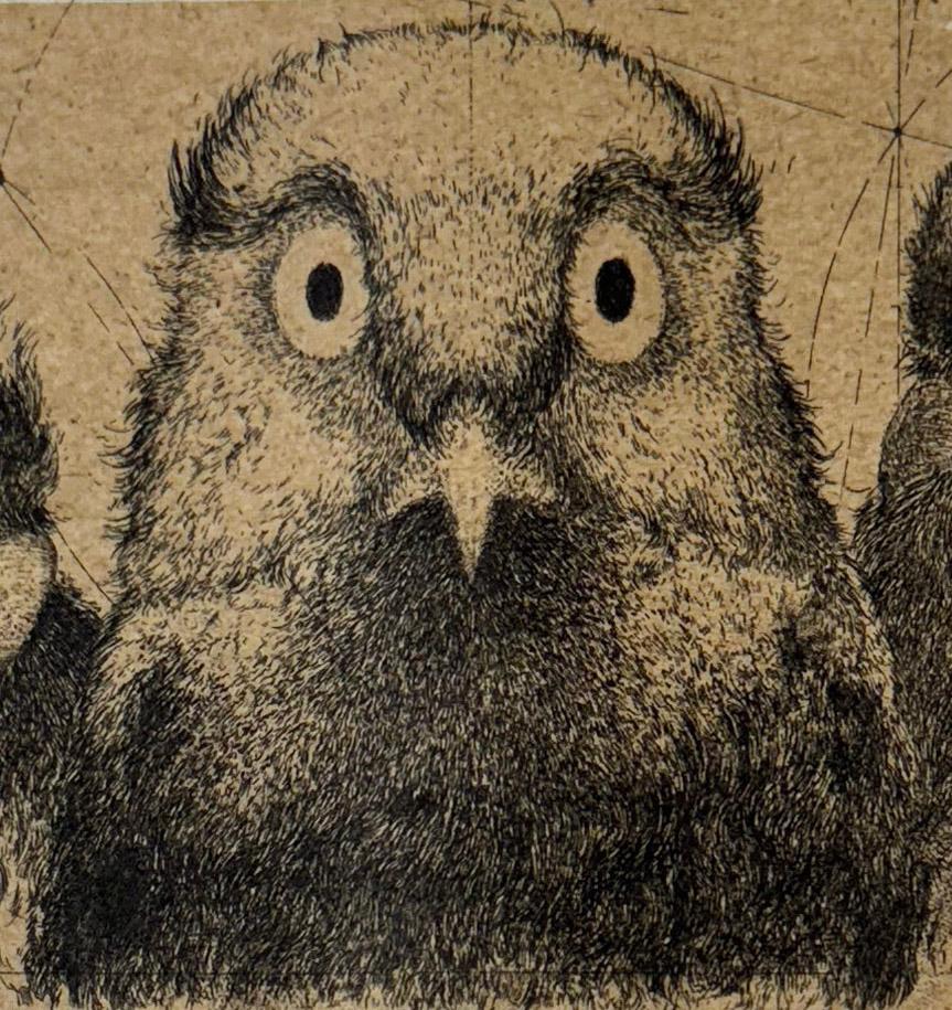 Discours D'oiseaux #5, grabado humorístico de pájaros en discusión por Marjan Seyedin en venta 1