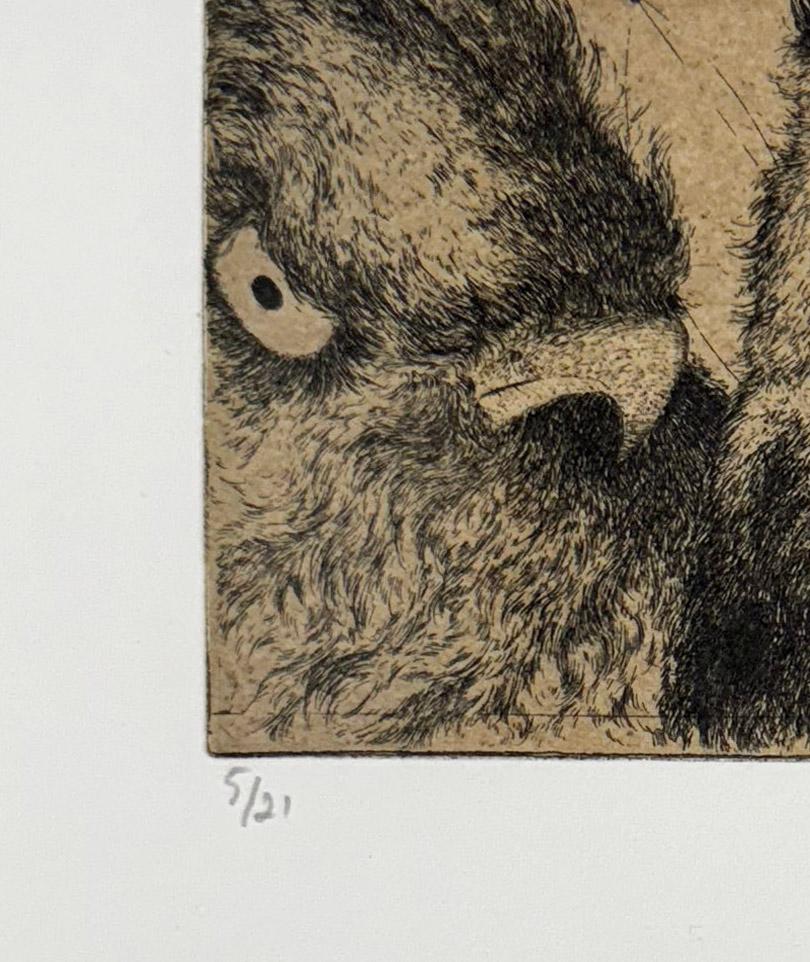 Discours D'oiseaux #5, grabado humorístico de pájaros en discusión por Marjan Seyedin en venta 3
