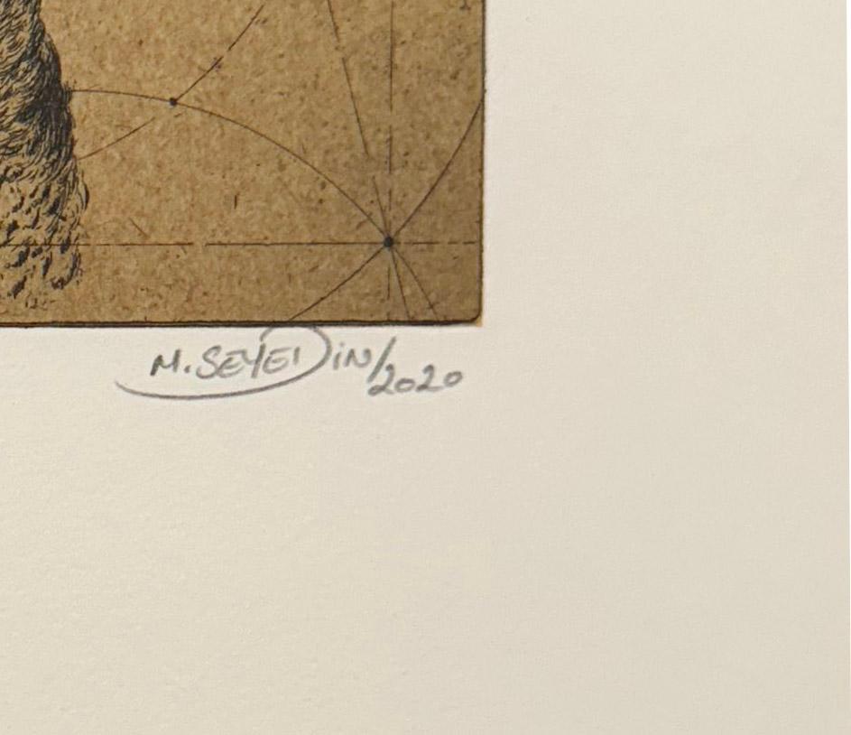 Discours D'oiseaux #9, grabado humorístico de pájaros en discusión por Marjan Seyedin en venta 2