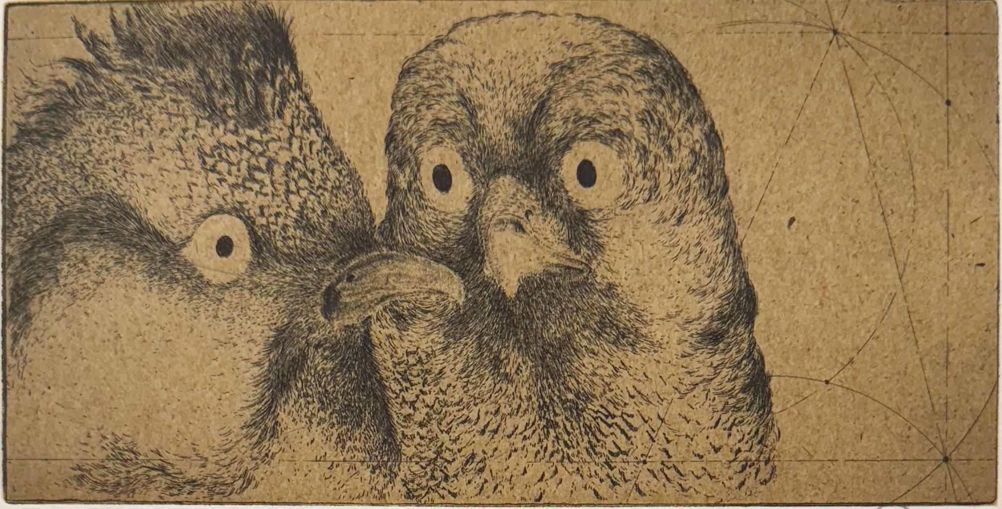 maccianos