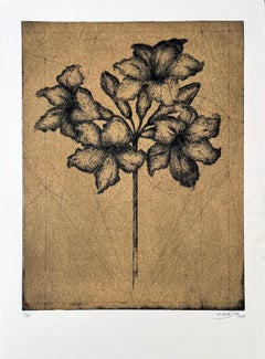 FLEURS #2 - Amaryllis, uno dei 4 ritratti di fiori di Marjan Seyedin