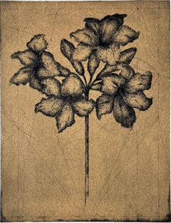 FLEURS #2 - Amaryllis, one of 4 portraits of flowers by Marjan Seyedin