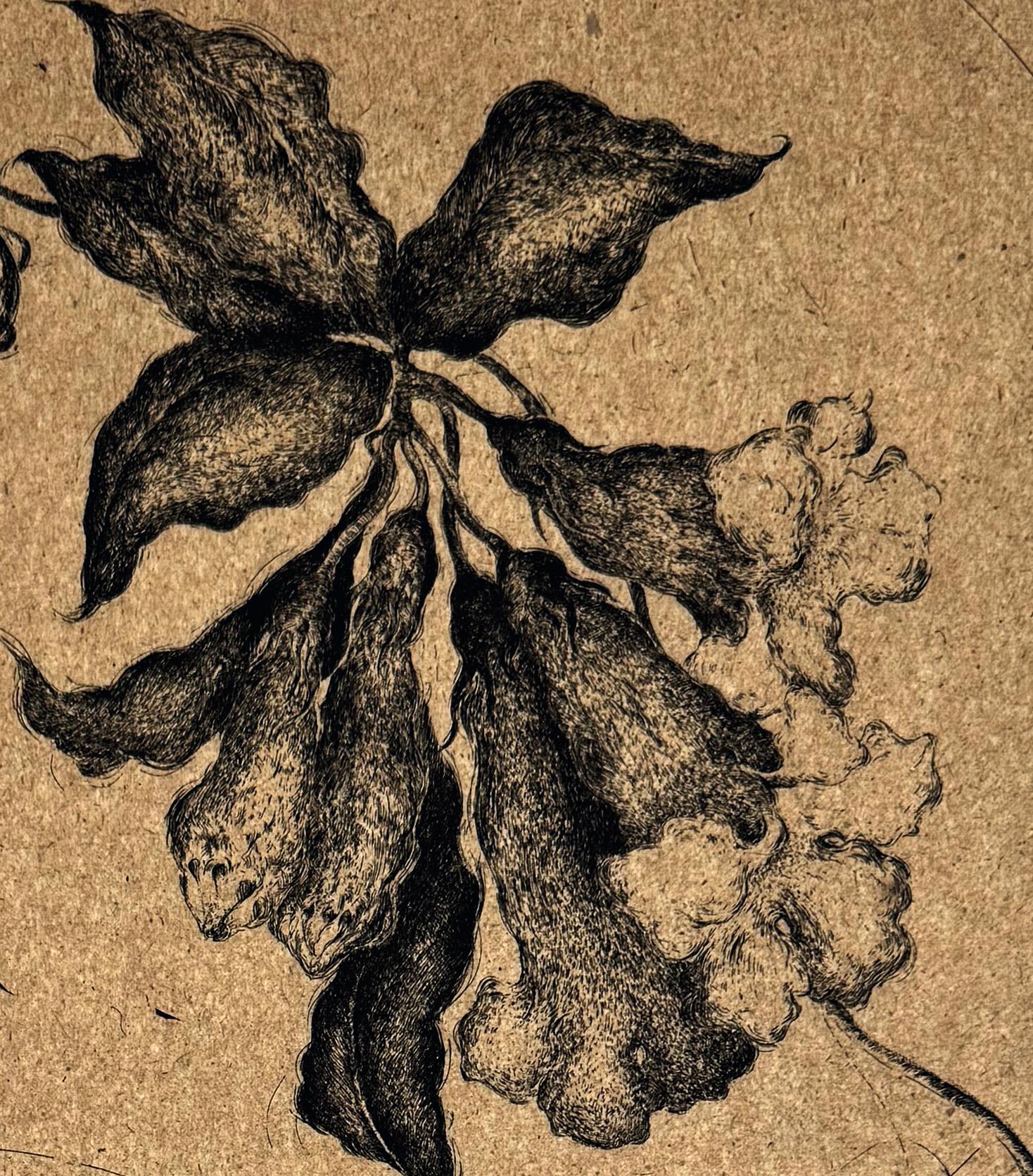 FLEURS #4 - Trompette de Jéricho, one of 4  flowers by Marjan Seyedin For Sale 4