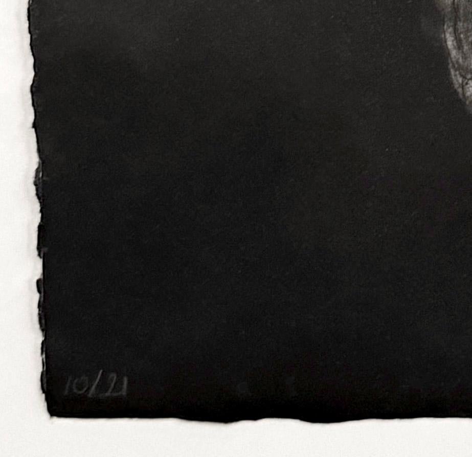 Hiboux et Chouettes nº 10, retrato de un búho por Marjan Seyedin en venta 1