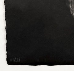 Hiboux et Chouettes n° 10, portrait d'un hibou par Marjan Seyedin
