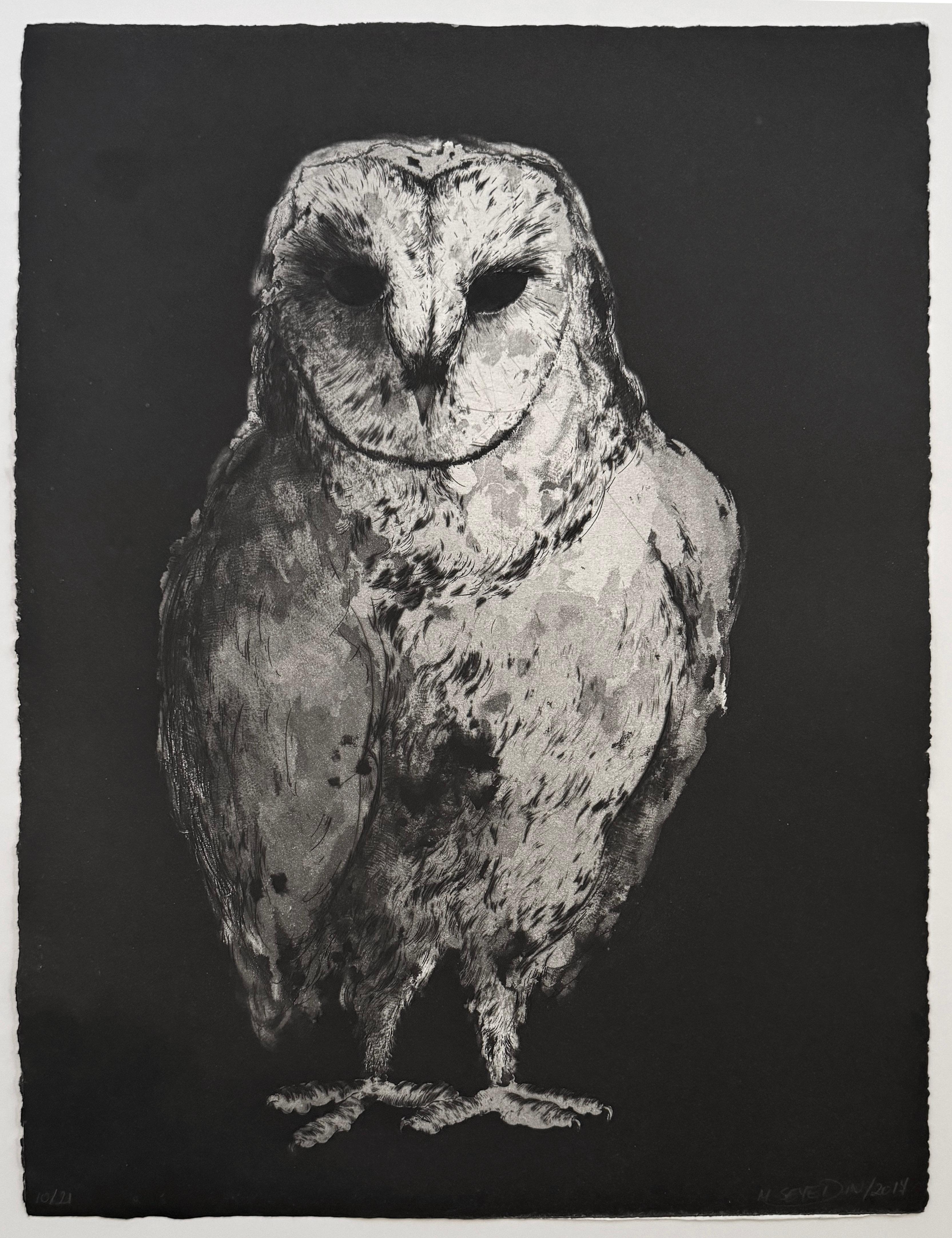 Hiboux et Chouettes nº 10, retrato de un búho por Marjan Seyedin