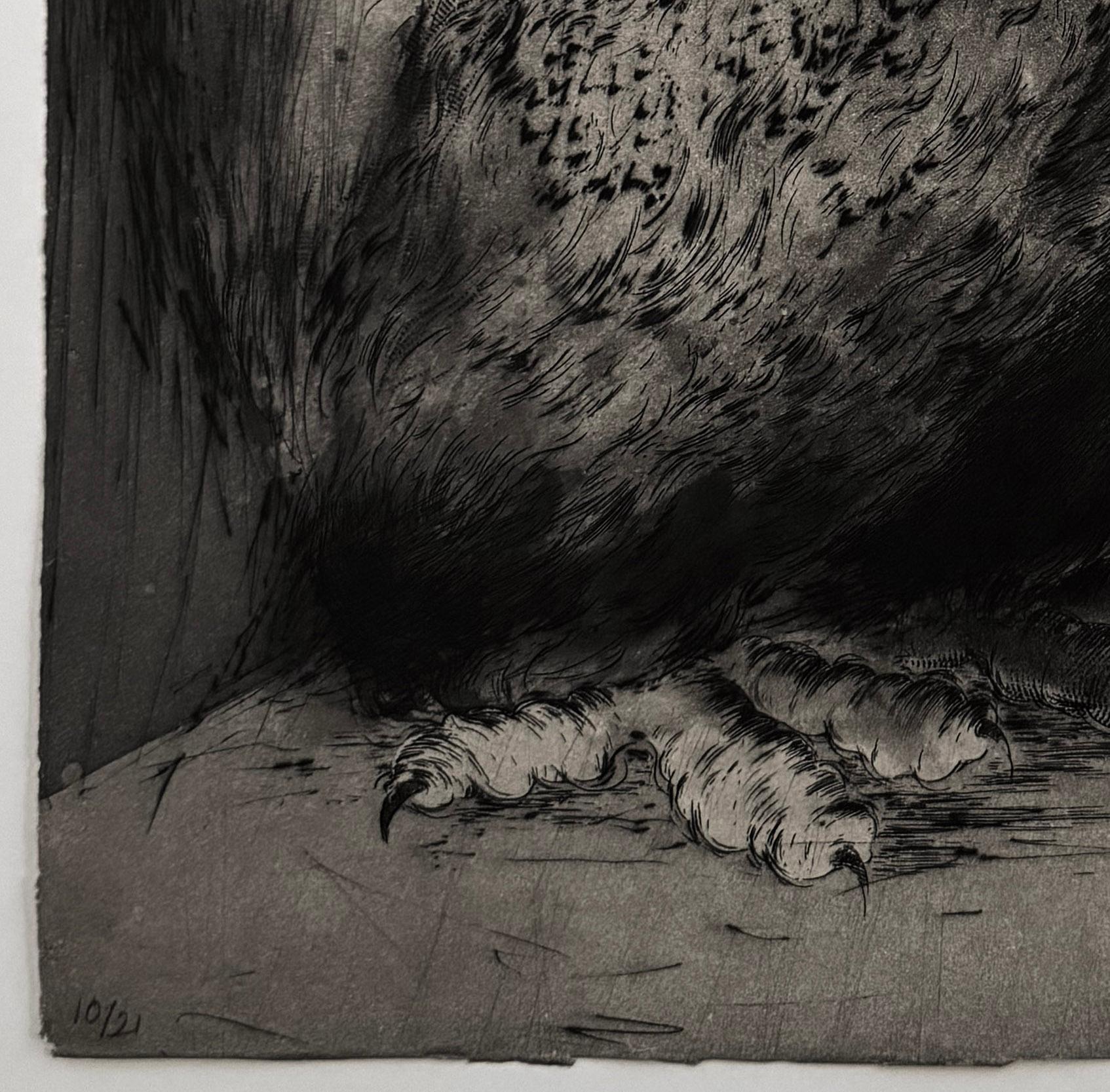 Hiboux et Chouettes nº 5, retrato de un búho por Marjan Seyedin en venta 1