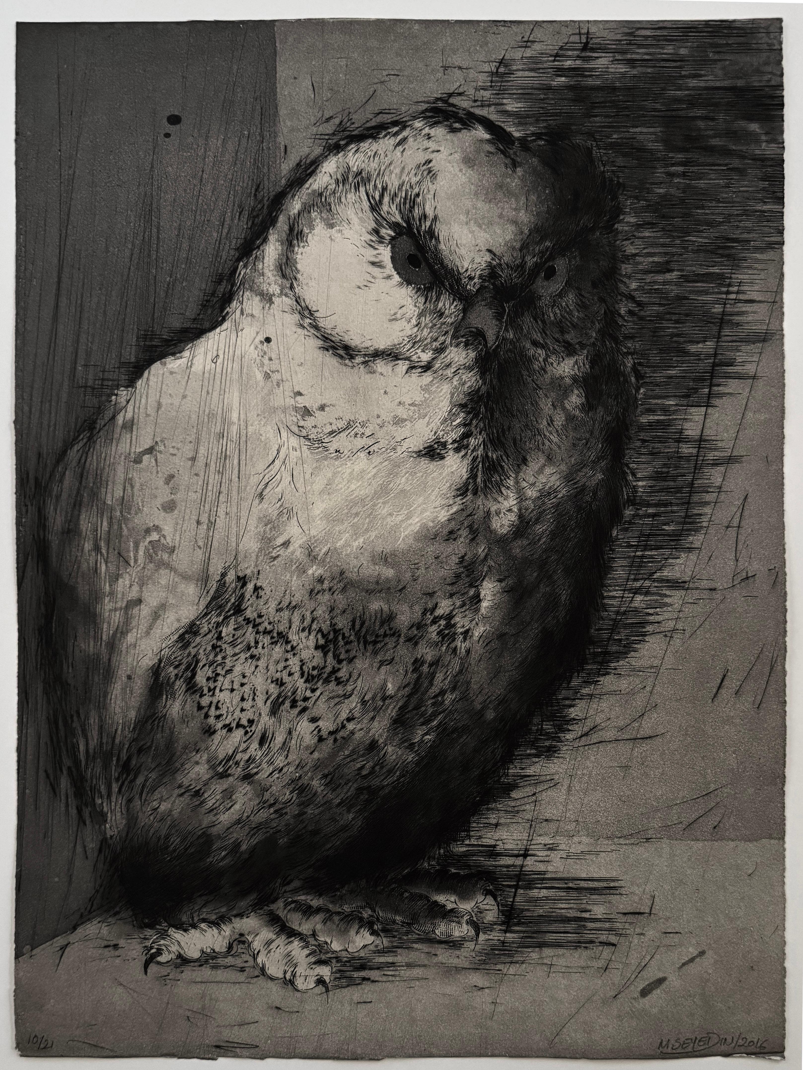 Hiboux et Chouettes nº 5, retrato de un búho por Marjan Seyedin