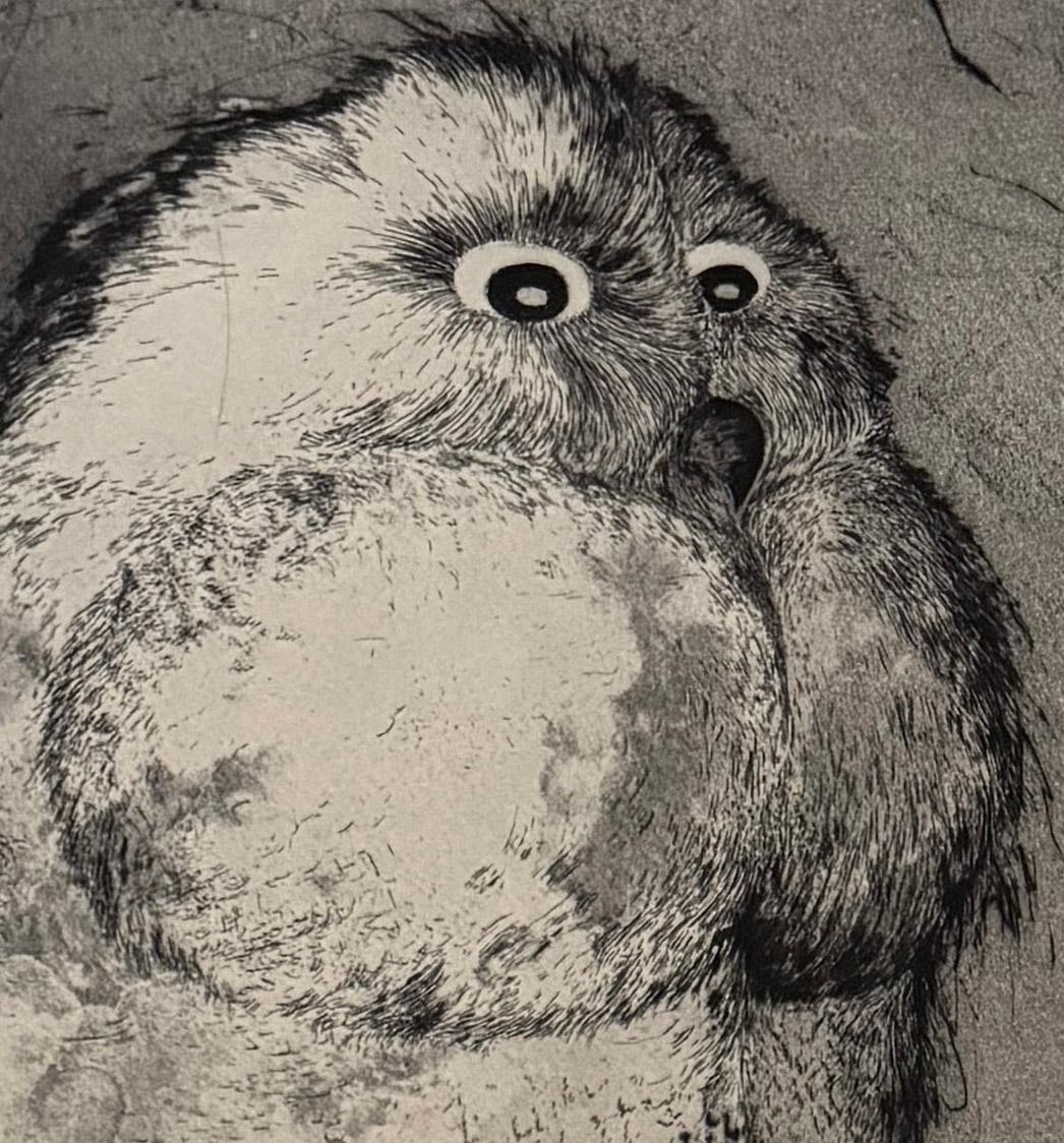 Hiboux et Chouettes #6, retrato de un búho por Marjan Seyedin en venta 1