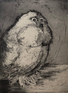 Hiboux et Chouettes #6, retrato de un búho por Marjan Seyedin