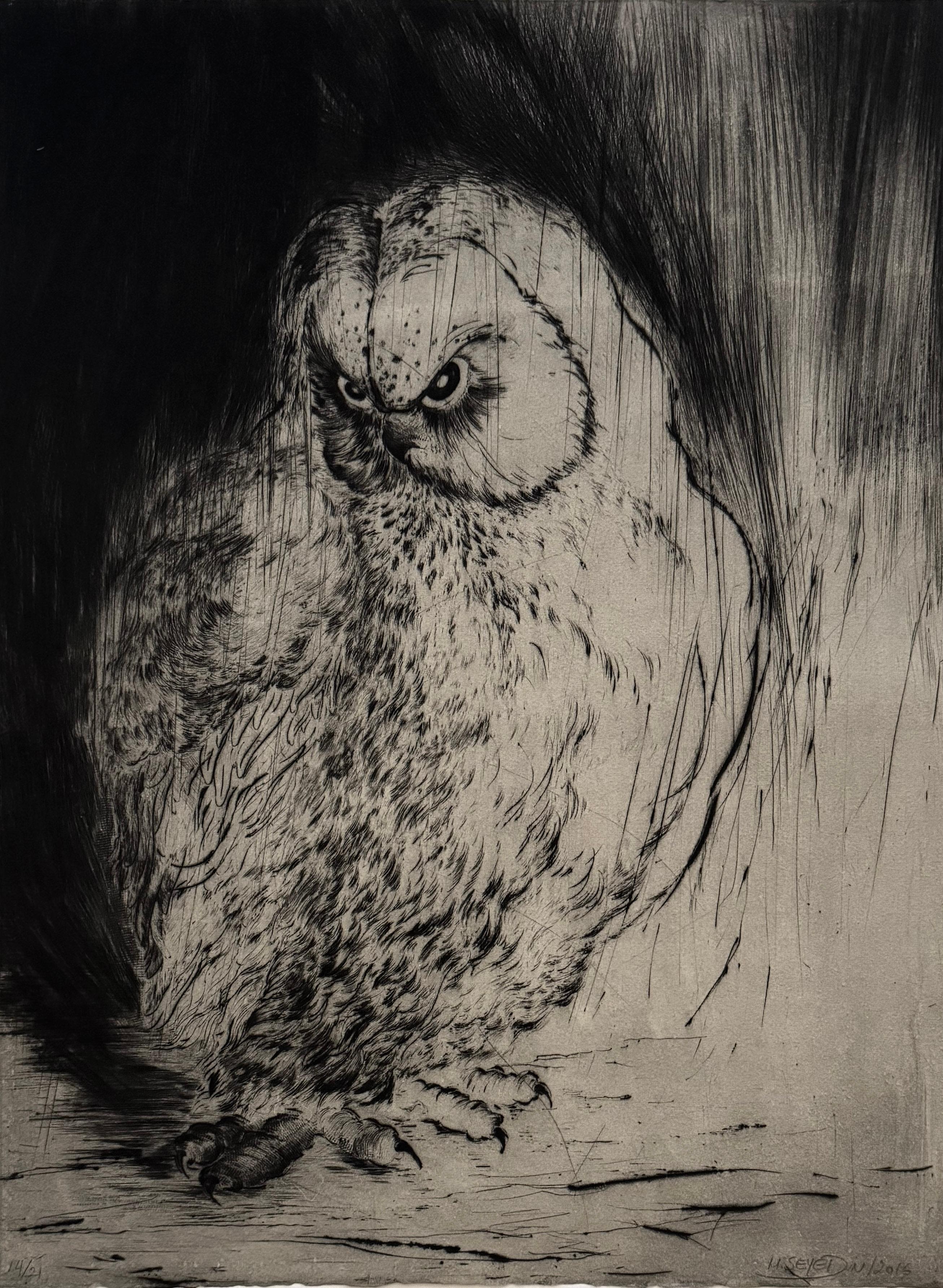 Hiboux et Chouettes nº 7, retrato de un búho por Marjan Seyedin